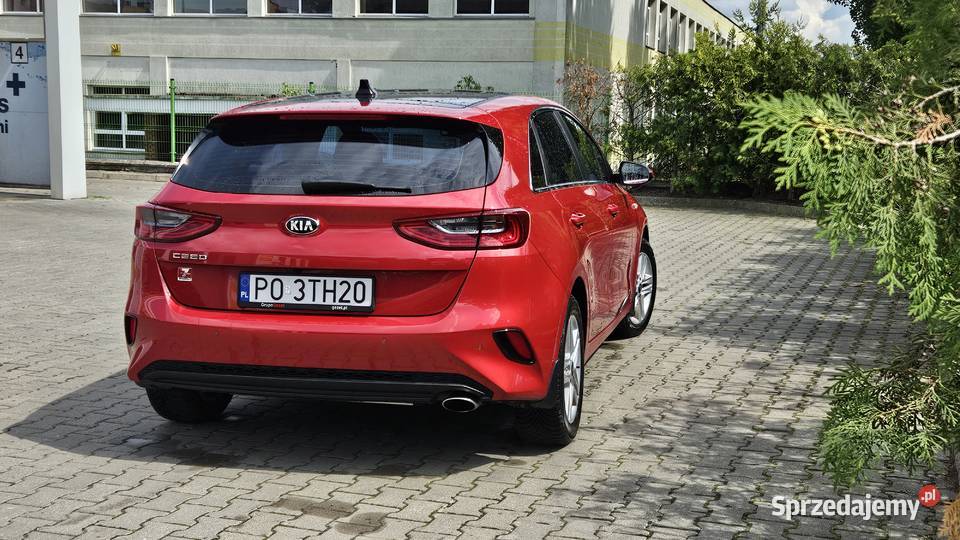 Kia ceed 14 TGDI 140 2020r salon Polska Gorzów Wielkopolski