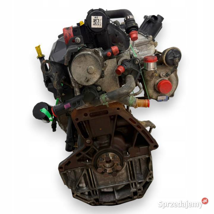 SILNIK K9K704 Renault Clio II Kangoo 15 DCI Silniki kompletne Chełm
