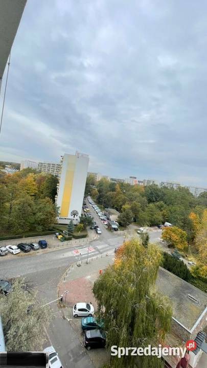 2pok 42met Białowieskiej BALKONPIWNICAWINDA Wrocław