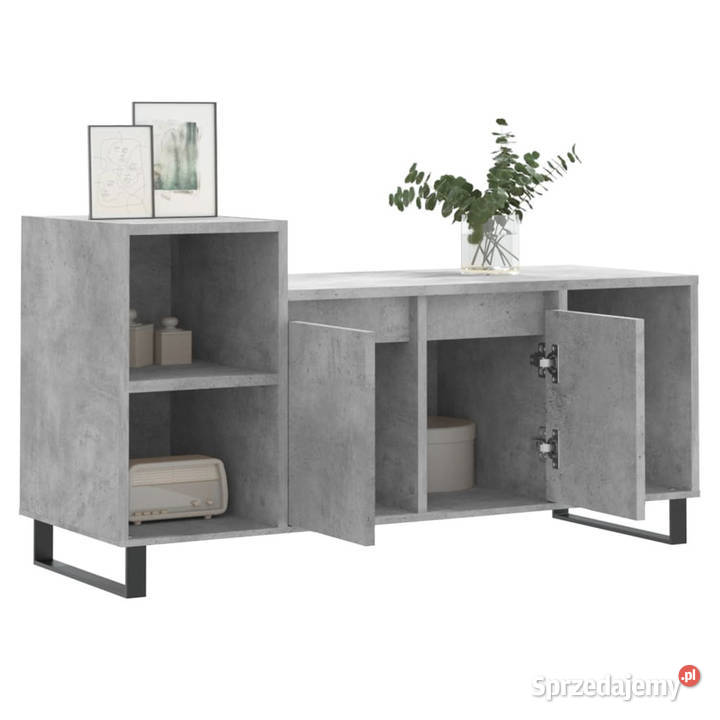 Szafka pod TV szarość betonu 100x35x55 WM831328 Warszawa