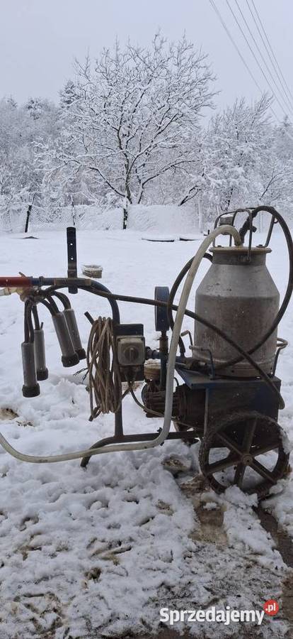 Sprzedam dojarke bańkową małopolskie Gromnik