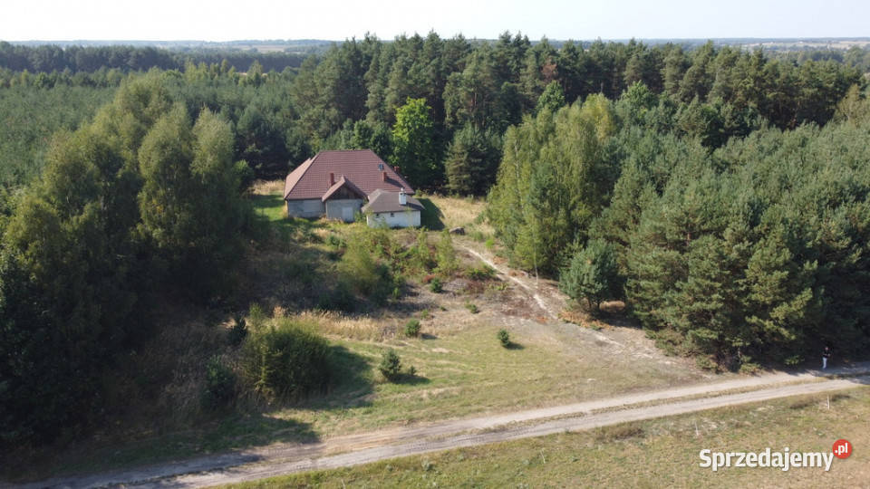 Dom na dużej działce w Świesielicach gm Świesielice sprzedam