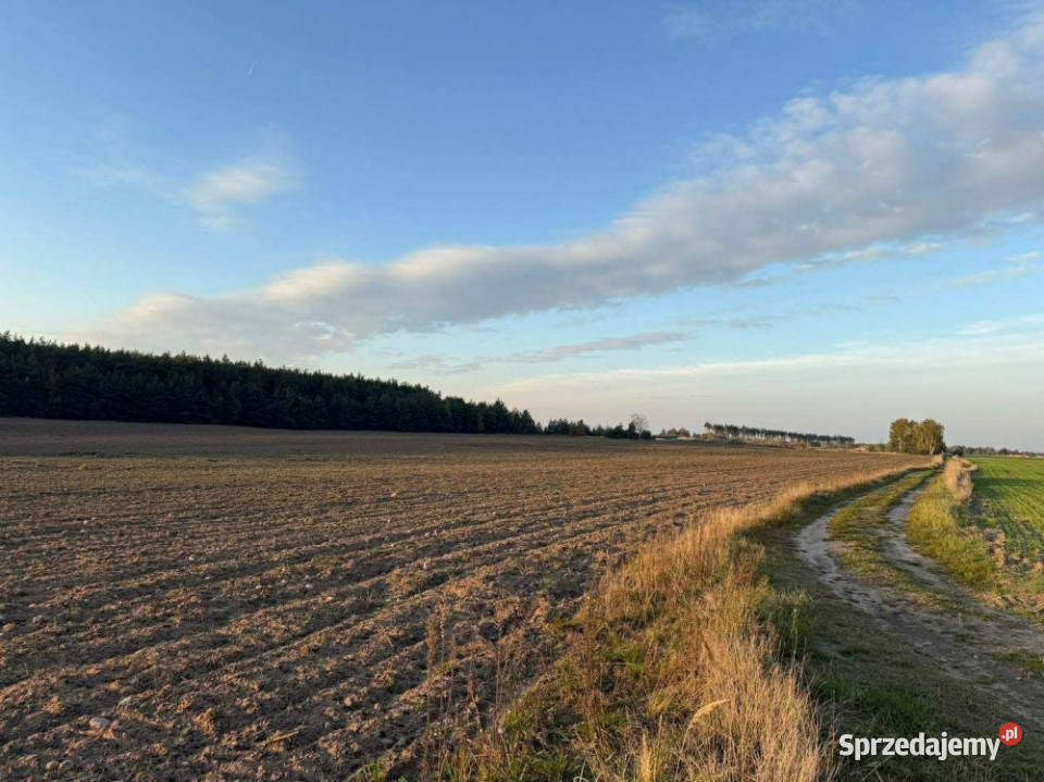 SPRZEDAŻY DŁUGOTERMINOWEJ DZIERŻAWY ŻWIROWNI wielkopolskie Kochowo
