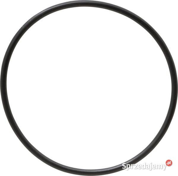 Pierścień uszczelniający oring X548967266000