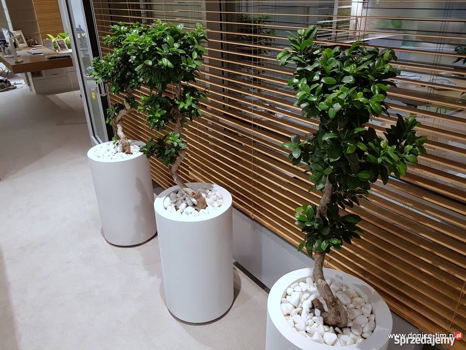 Donice lekka donica duża donica na wymiar Łosiów