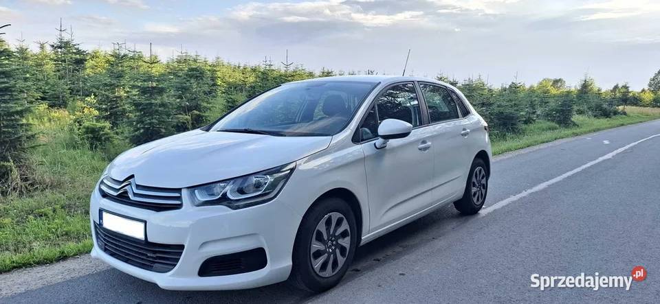 Citroen C4 1 Właściciel w Dulcza Wielka