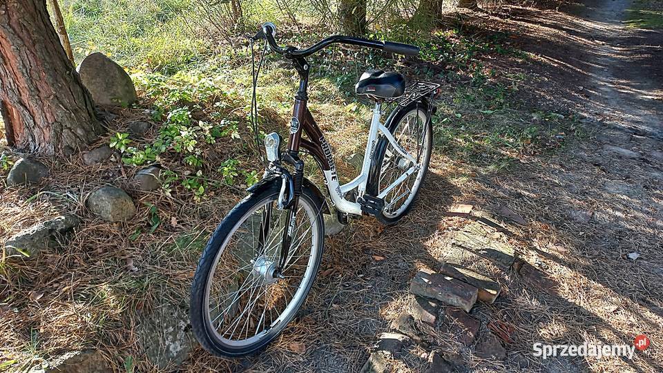 Alu Rower Miejski Damski Prophete City 600 Damka Wołów sprzedam