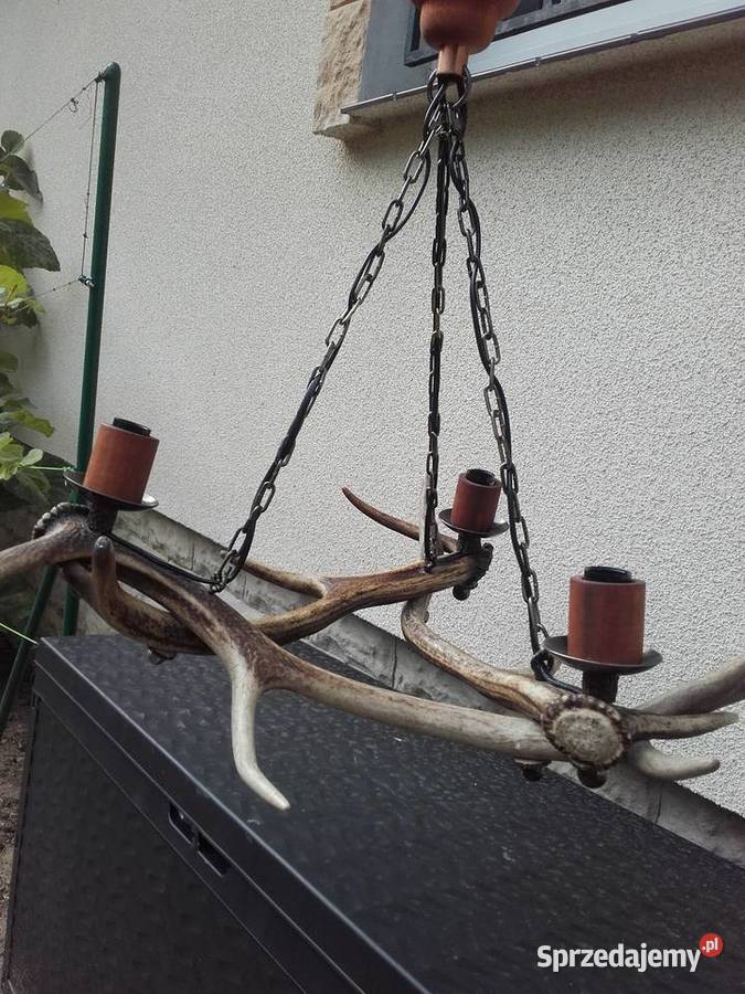 Piękny żyrandol z poroża Jelenia odcienie brązowego Oświetlenie Gniezno sprzedam