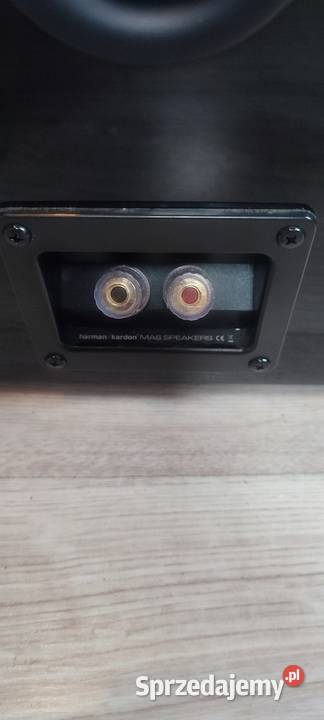 Głośniki Harman Kardon Mas 100 Paradyż sprzedam