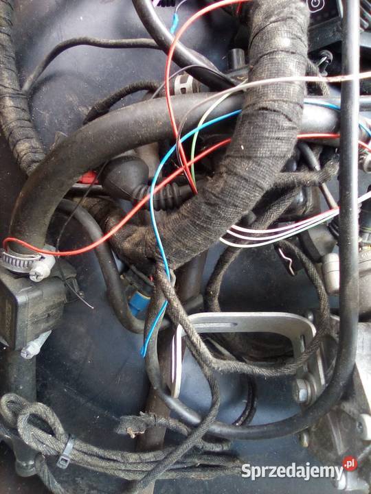 instalacja gazowa LPG sekwencja z butlą i osobowe Kolbuszowa