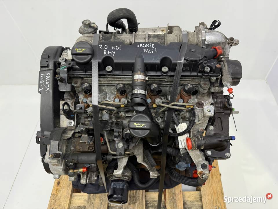 SILNIK RHY Peugeot 307 406 Partner Citroen C5 Chełm