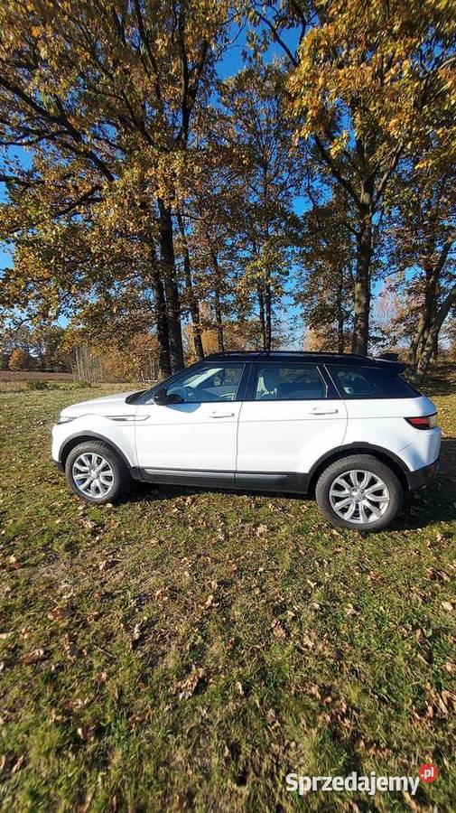 Okazja tanio sprzedam RANGE ROVER EVOGUE lift dolnośląskie Jelenia Góra