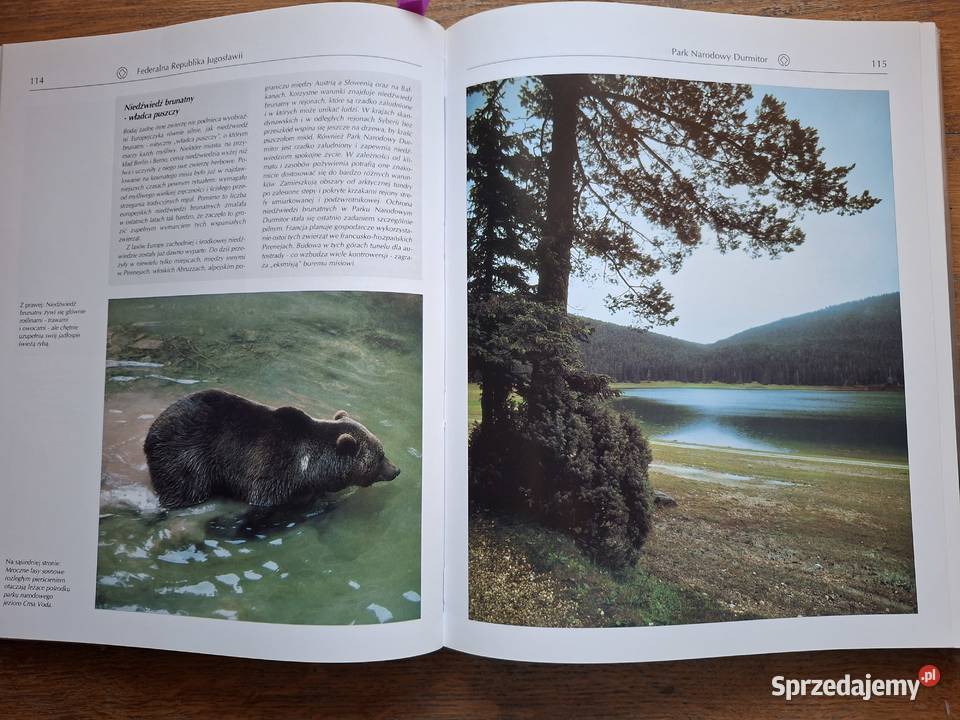 Skarby kultury i przyrody świata Europa ISBN 838544047X małopolskie Kraków