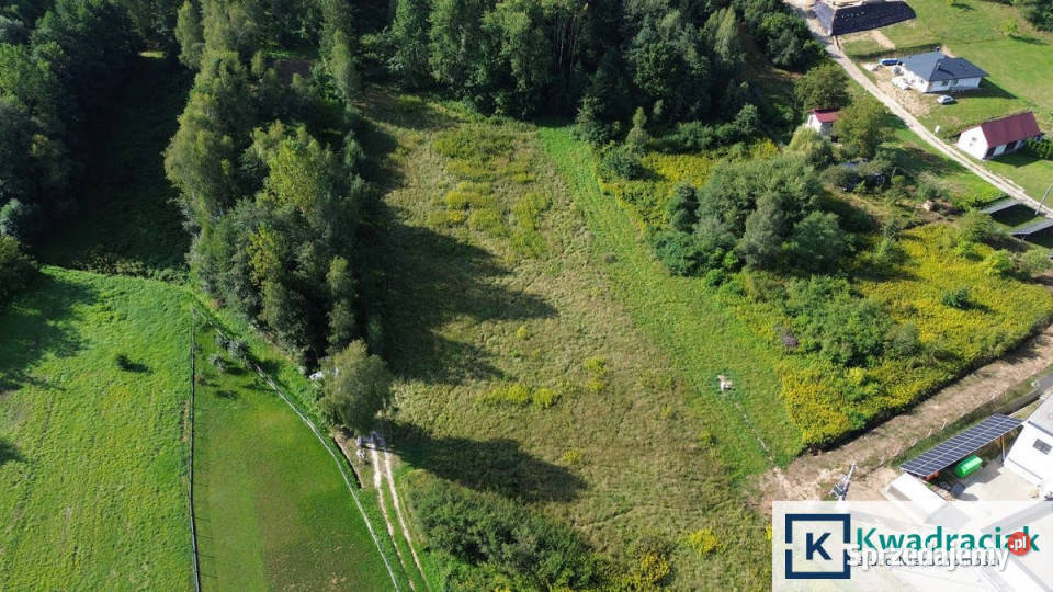 sprzedaży działki Kołaczyce 2832m2 podkarpackie