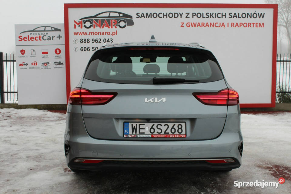 Kia Ceed 15 TGDi 160 Face Lifting Salon Polska Włocławek