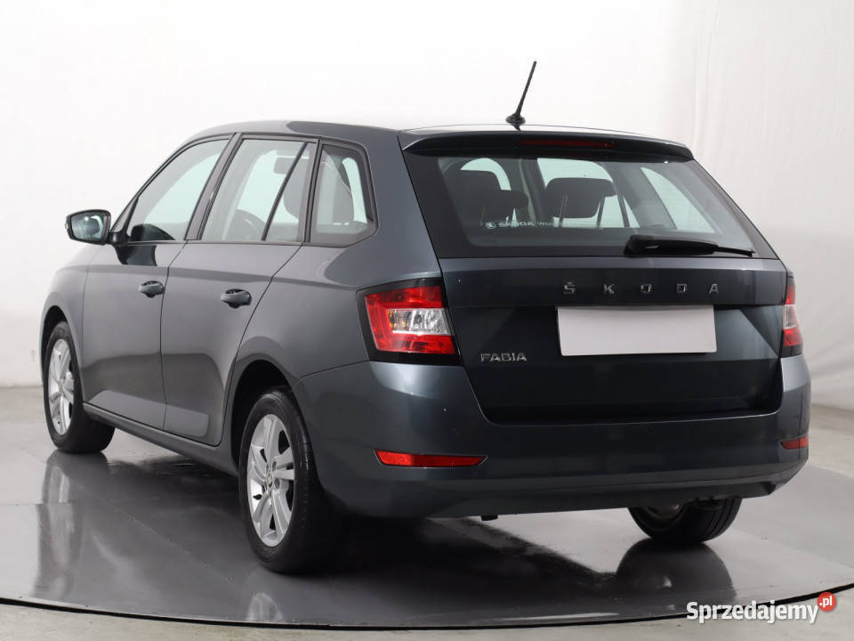 Skoda Fabia 10 TSI szary śląskie
