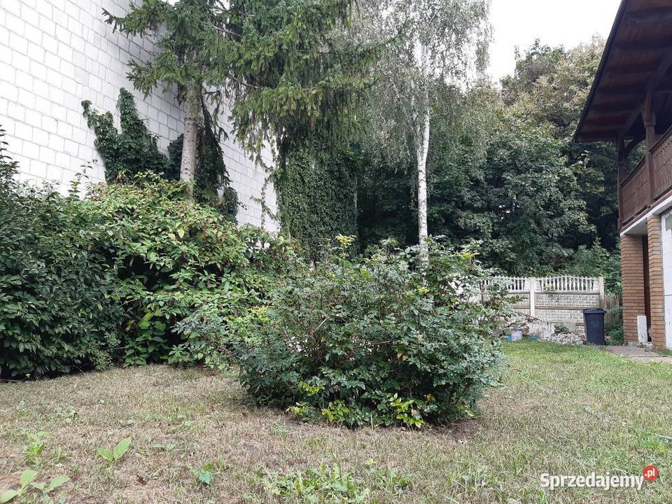 Działka z bydynkami k Puław woda Bronowice