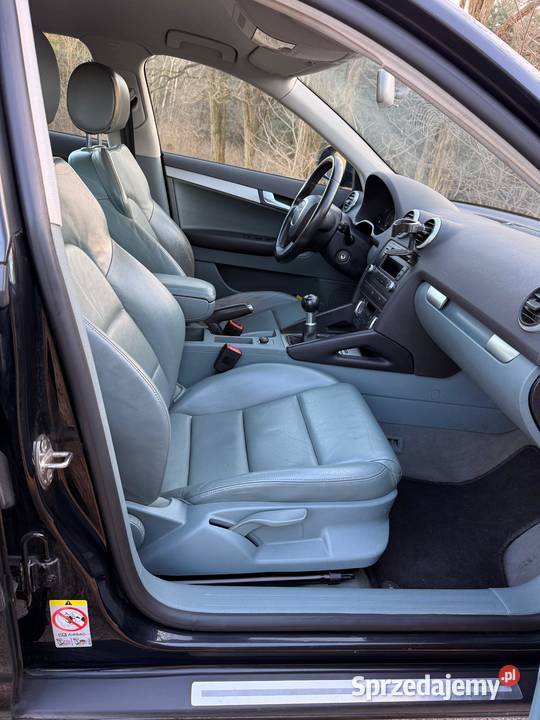 Audi A3 8P 2009r 20 TDI CR Turek