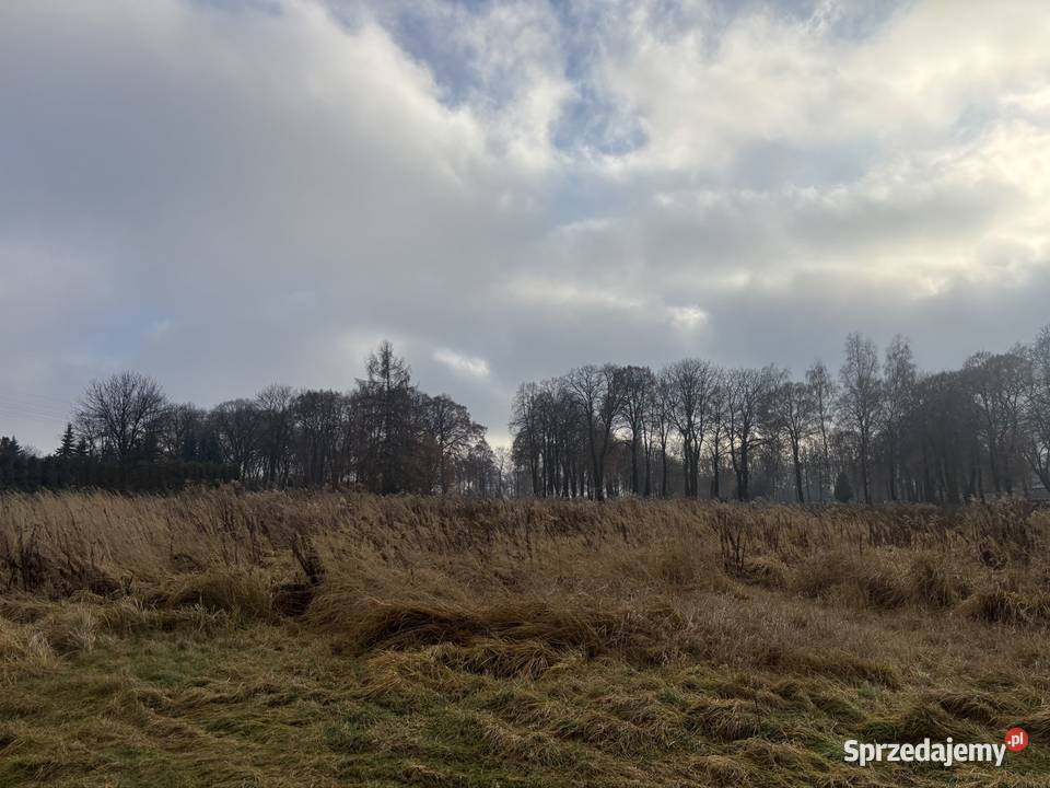 Siemianowice Śl działka budowlana Siemianowice Śląskie