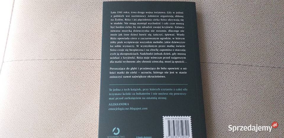 żółty ptak śpiewa Kraków