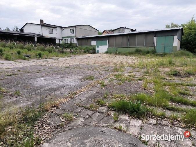 Hala do wynajęcia Rybnik