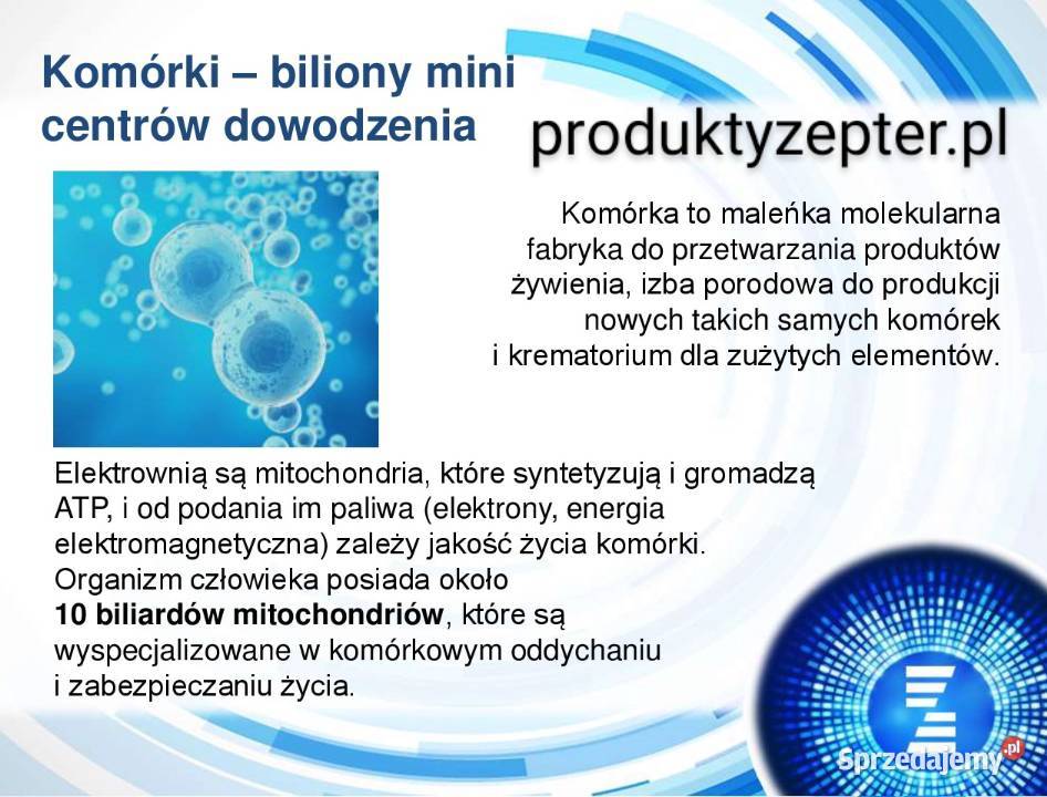 Medolight BluDoc Zepter Limanowa