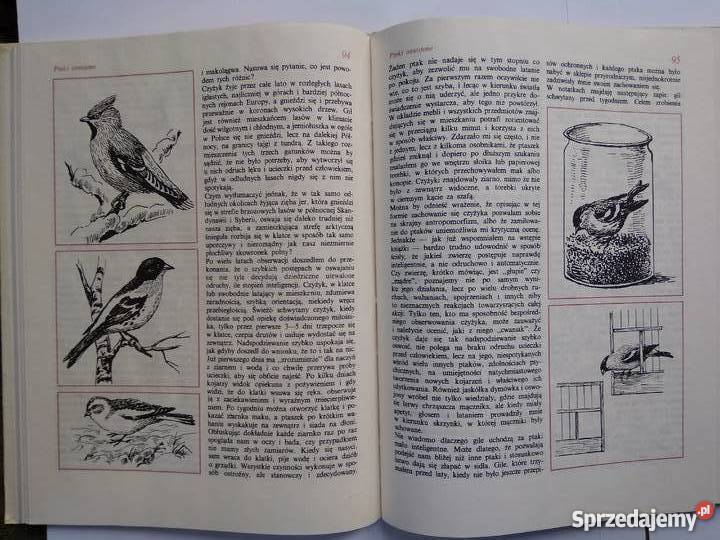 JSokołowski TAJEMNICE PTAKÓW Legionowo