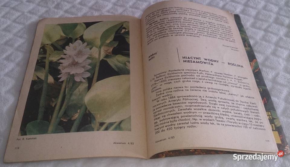 Akwarium 1983 4 76 Książka Czeladź