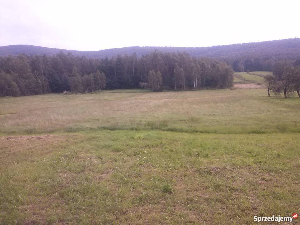 Sprzedam dom w stanie surowym świętokrzyskie