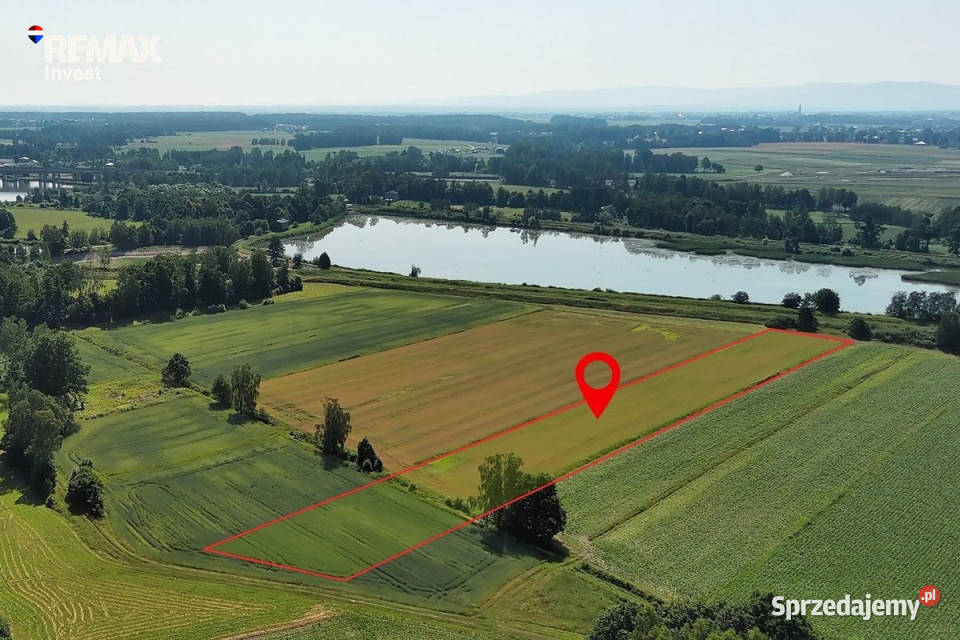 Działki rolne Dankowice 10900m2 Sprzedaż śląskie