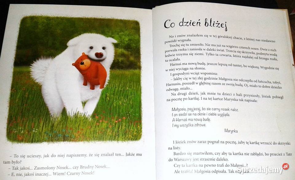 Pamiętnik Czarnego Noska Janina Porazińska Chełm