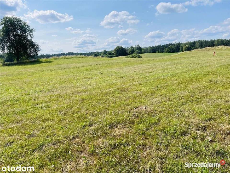 Działka budowlana Mazury Borowe Mrągowo