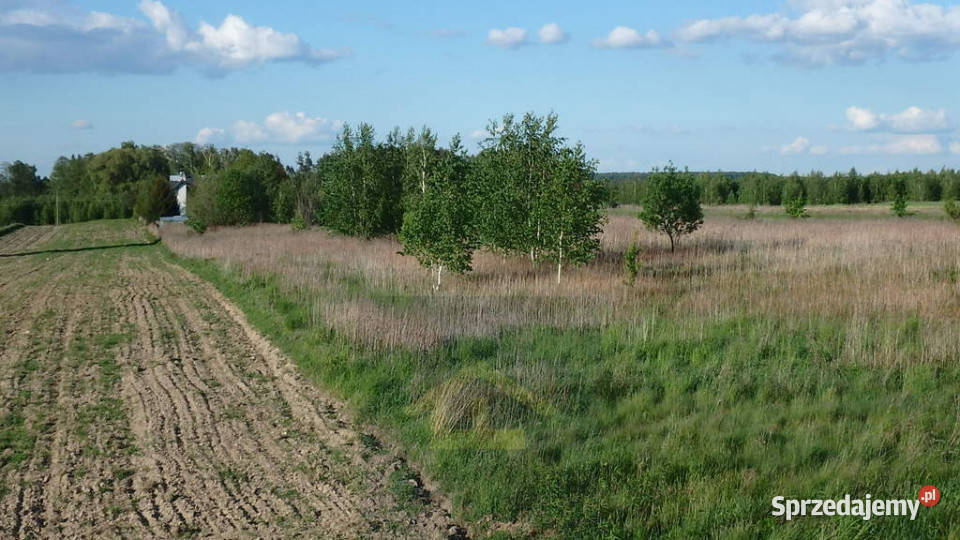 Działka w Gadce gmina Kołbiel Gadka