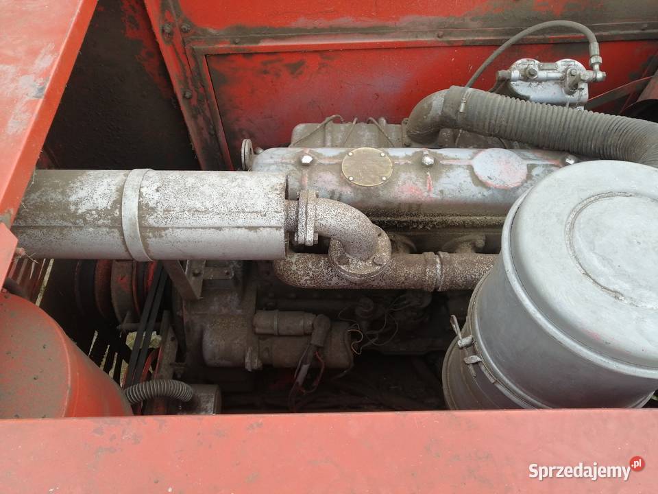 Bizon super Z 056 małopolskie Słaboszów