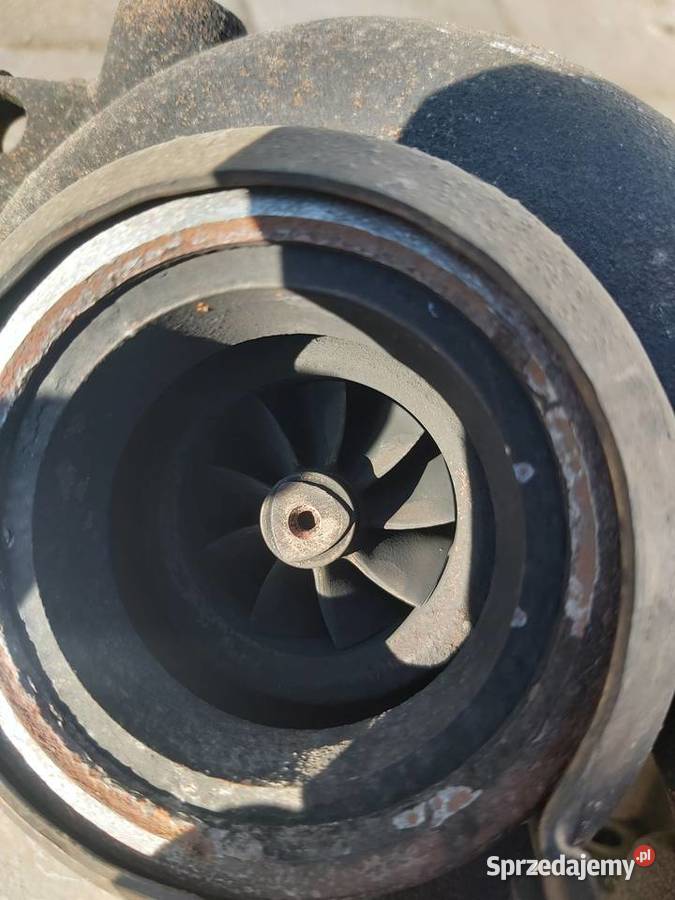 sprzedam pozostałości Winnica sprzedam