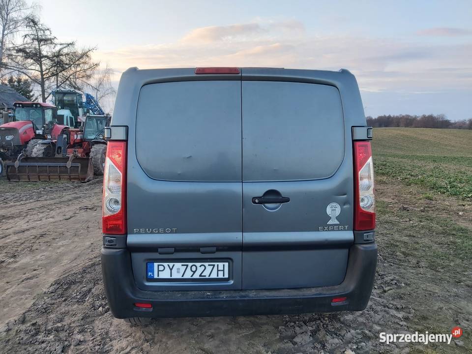 Peugeot Expert 16 HDI prod 2008 Napęd przednia oś kujawsko-pomorskie