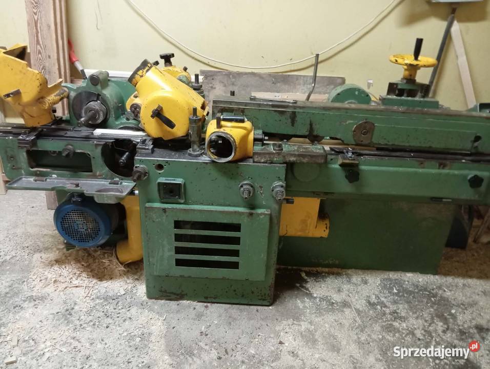 Strugarkalistwiarka czterostronna gabbiani małopolskie Osielec