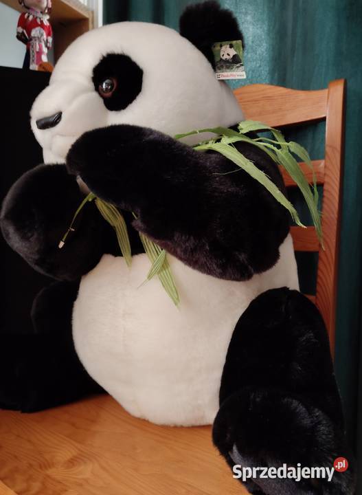 Maskotka Panda z pekińskiego zoo 60 sprzedam