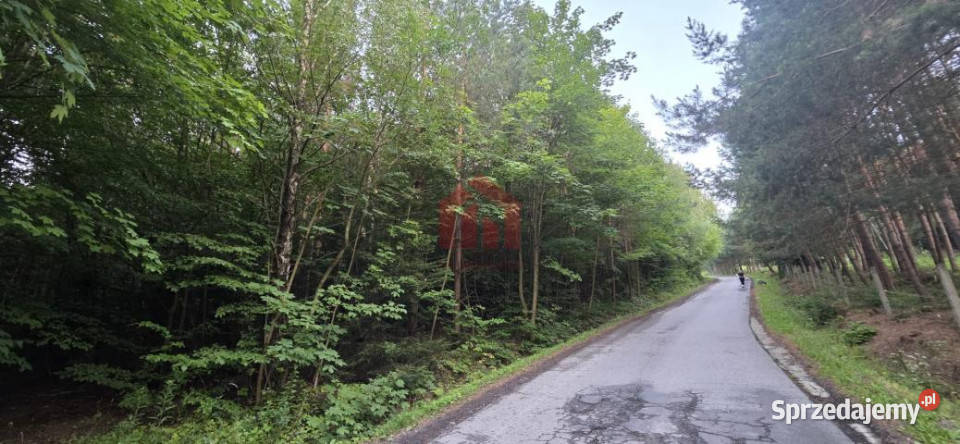 Sprzedaż działki 8500m2 Gogołów podkarpackie