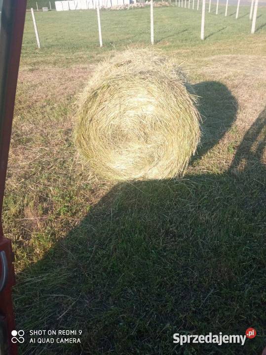 Sprzedam Bele siana słomy podkarpackie Jedlicze
