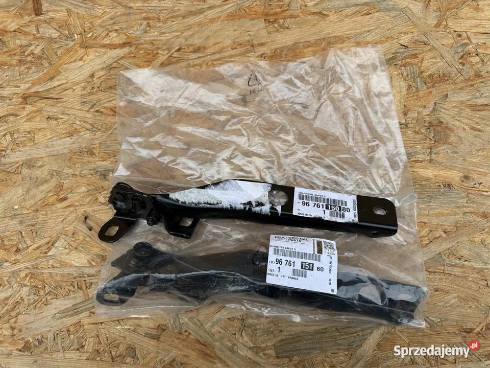 Zawias maski prawy rh lewy LH Citroen c4 Picasso wielkopolskie