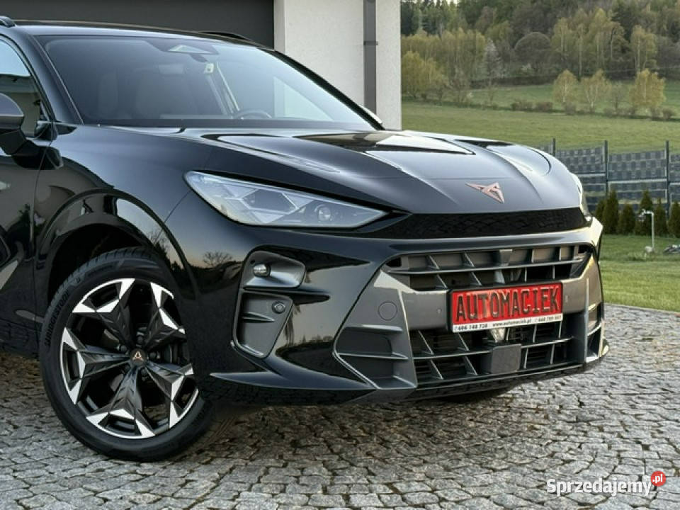 Cupra Terramar vz 265 4x4 AMBIENTE NAGŁOŚNIENIE relingi dachowe Kamienna Góra