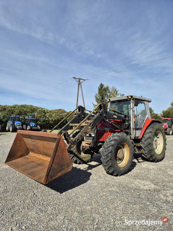 Massey FERGUSON 3095 Ładowacz szufla MF 4260 Rolnictwo lubelskie Turobin