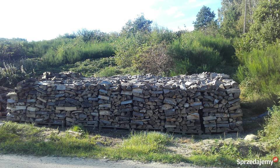 Drewno opałowe Luzino sprzedam