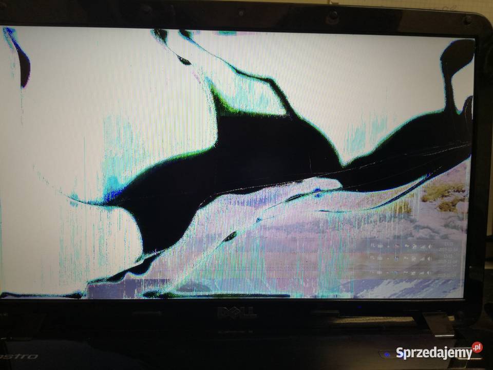 dell vostro 1015 wireless problems