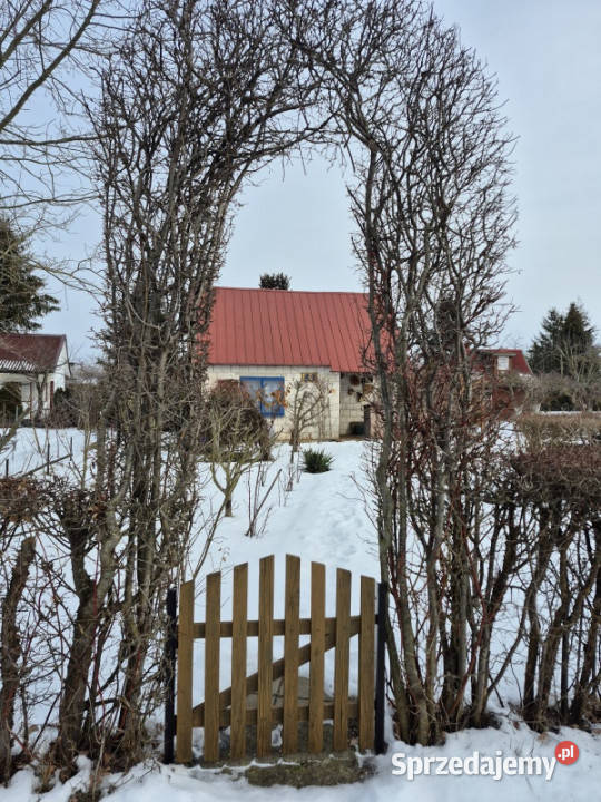 Działka ROD Mickiewicza Białystok sprzedam