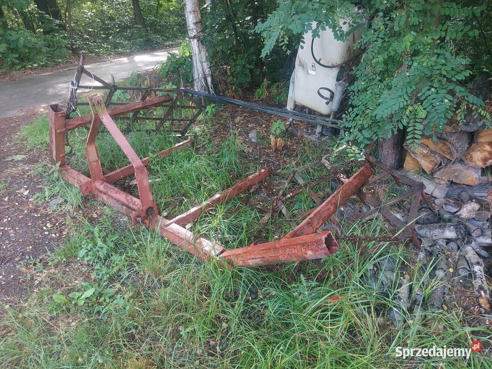 Brony 4 masywne Wola Rzędzińska