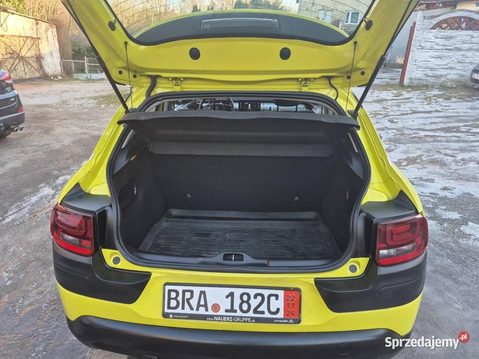 C4 cactus Wałbrzych