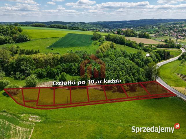 Działka 1000m2 Wielopole Skrzyńskie