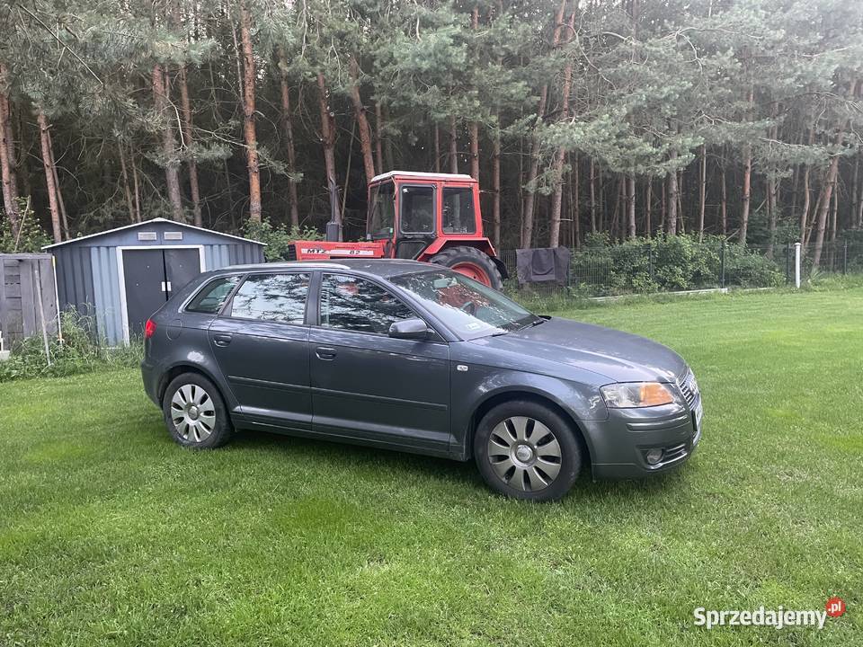 Audi a3 8p klimatronik 16 benzyna 220 przebiegu 220000km Busko-Zdrój sprzedam